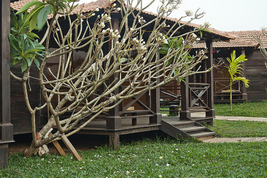 Ecowoods Village Spa & Yoga Retreat Morjim Ngoại thất bức ảnh